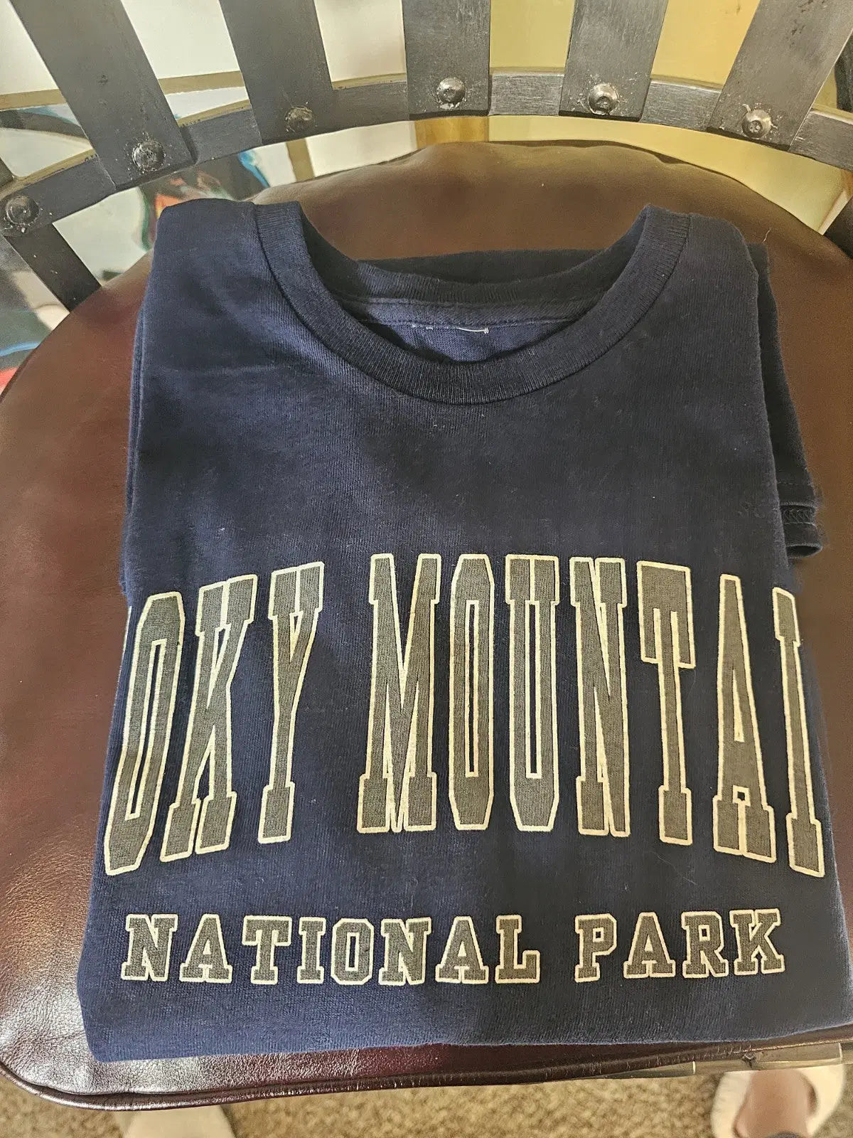 Navy Blue T Shirt Unisex New L Smoky Mountains