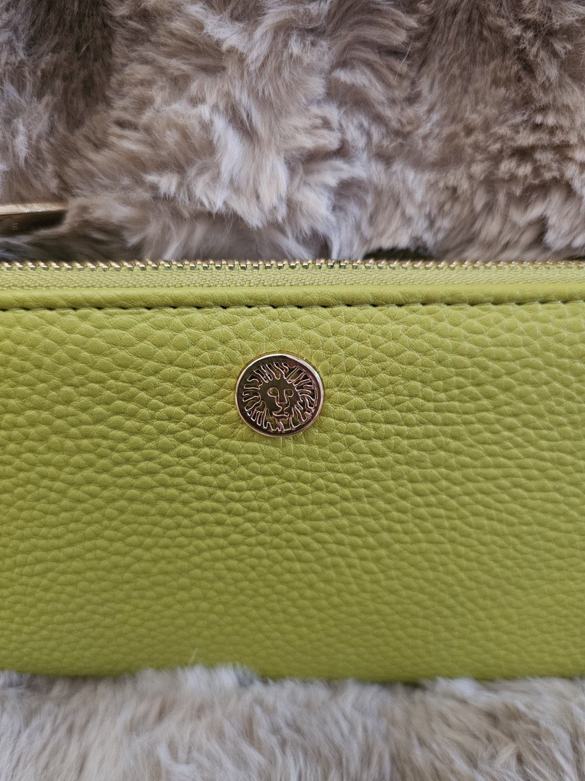 Wallet Anne Klein wrist wallet light green vey slightly used