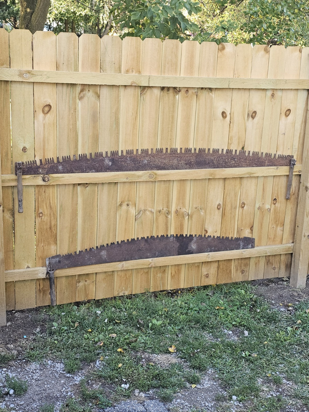Vintage 66-inch Vintage 2 Cross Cut or Farm Tool 1 Handle missing
