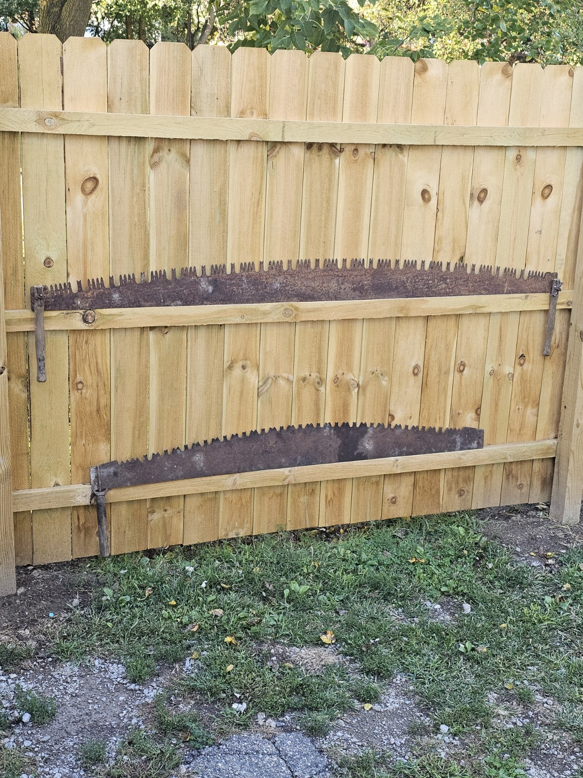 Vintage 66-inch Vintage 2 Cross Cut or Farm Tool 1 Handle missing