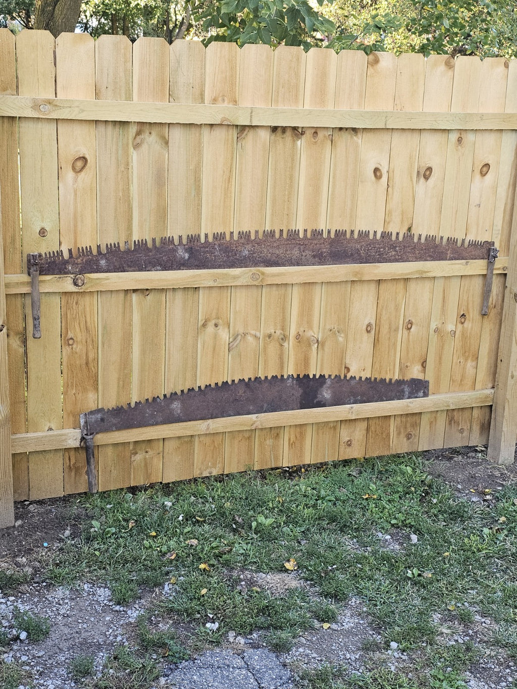 Vintage Barn Primitive 2 Two Man Crosscut Logging Saw 84" Blade Log Tool