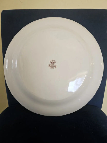 Plate England made Watteau plate vintage Mason's Ironstone