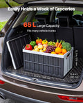 Plastic Collapsible Storage Bins with Lids, 65L 2 Packs, Stackable Folding Storage Crates with Handles, Holds 84 lbs Per Bin, Heavy Duty Containers, Space-Saving Baskets, for Home Organizing